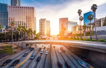 Freeway overpass in downtown los angeles with palm trees